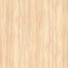 Gạch lát 50x50 Prime Tiptop 14.500500.07979